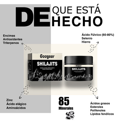 Level SHILAJIT- Eleva tu rendimiento físico y mental.
